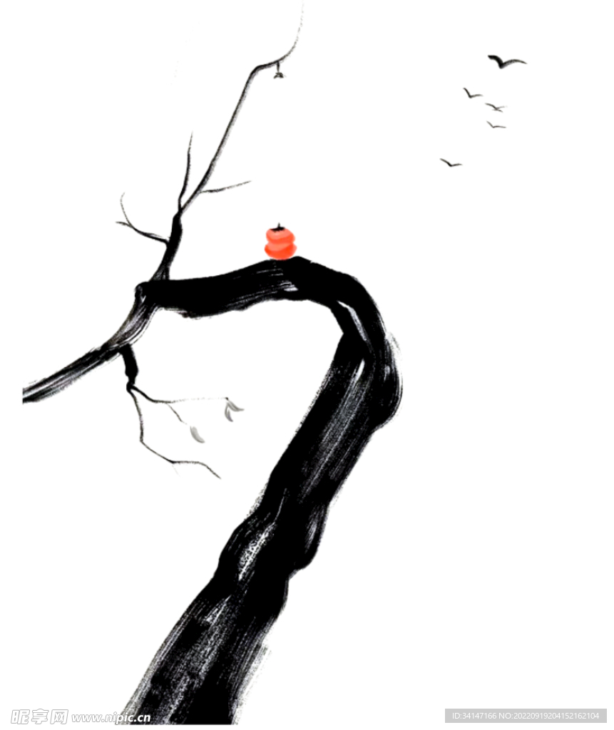 柿子树