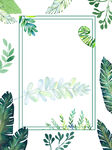 夏季绿植处暑背景图
