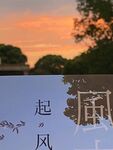 起风了