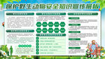 保护野生动物