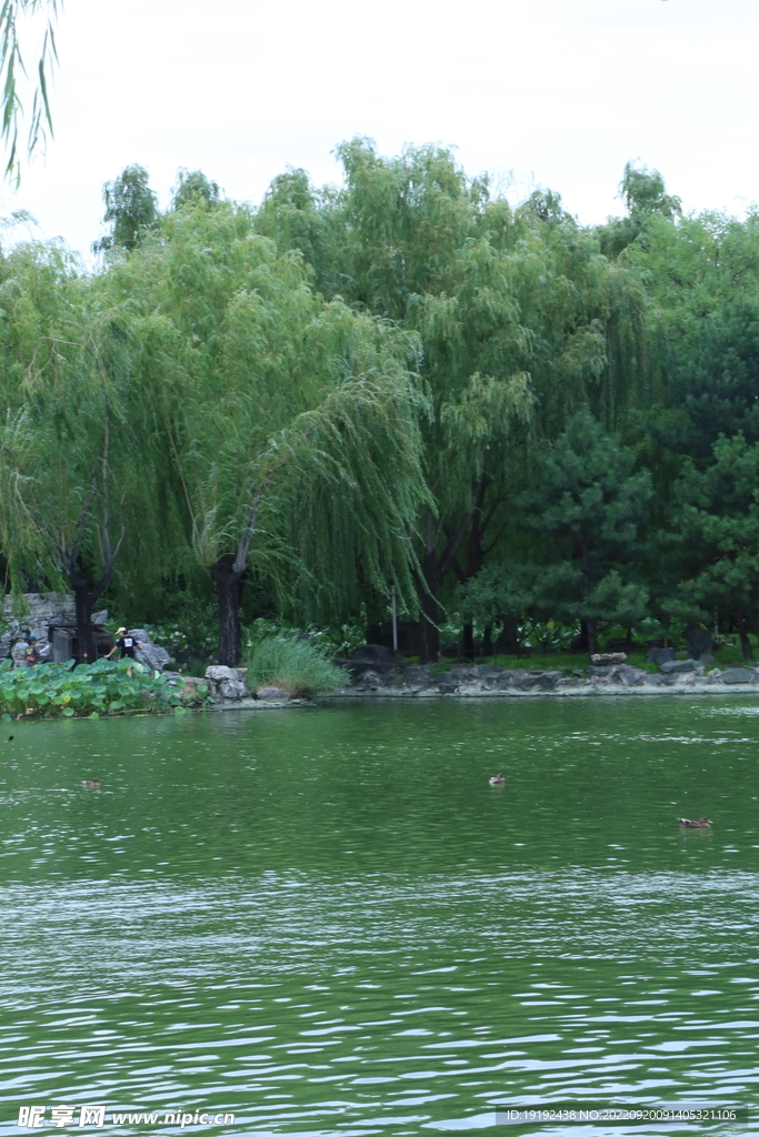 园林风景  