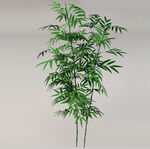 C4D模型竹子绿色