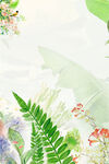 花草背景