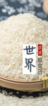 世界粮食日 珍惜  杜绝浪费 