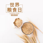 世界粮食日 珍惜  杜绝浪费 