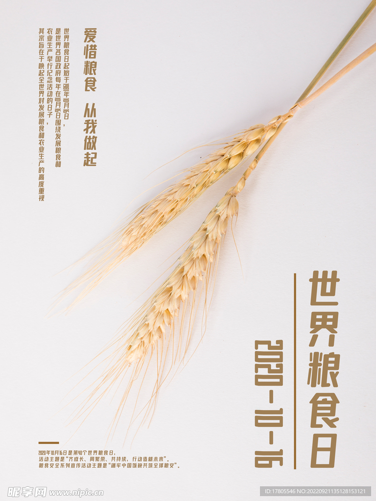 世界粮食日 珍惜  杜绝浪费 