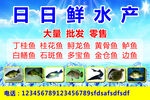 海鲜水产
