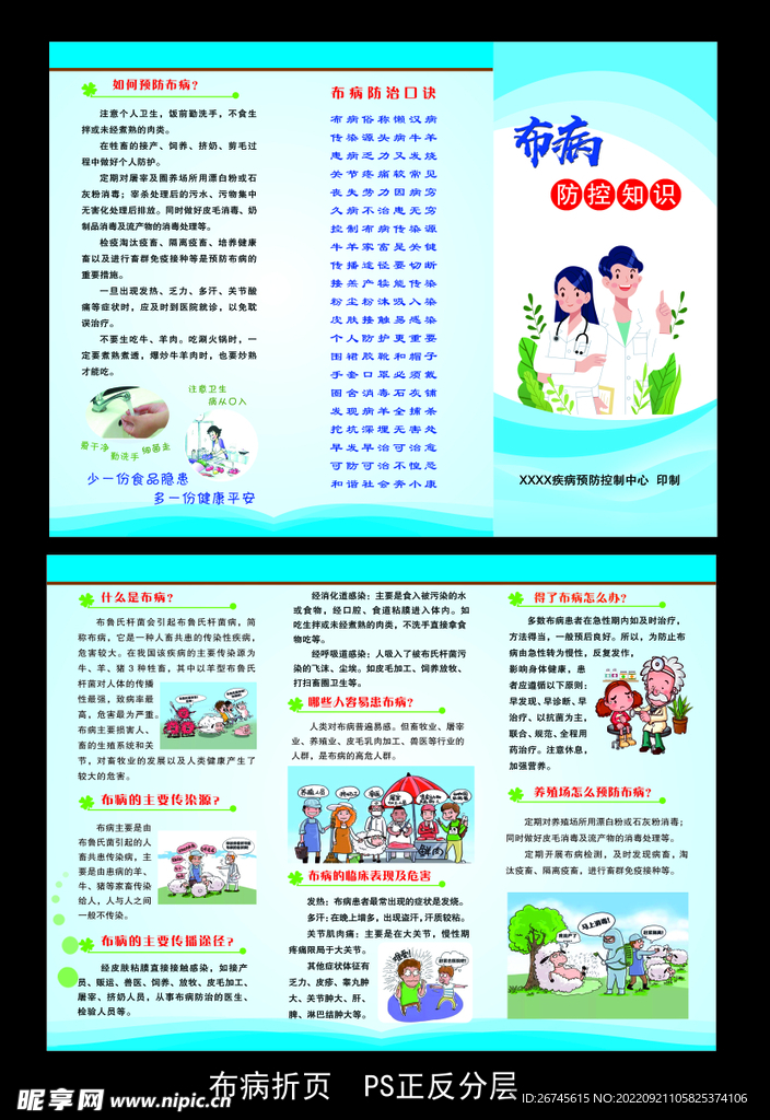 布病折页 海报