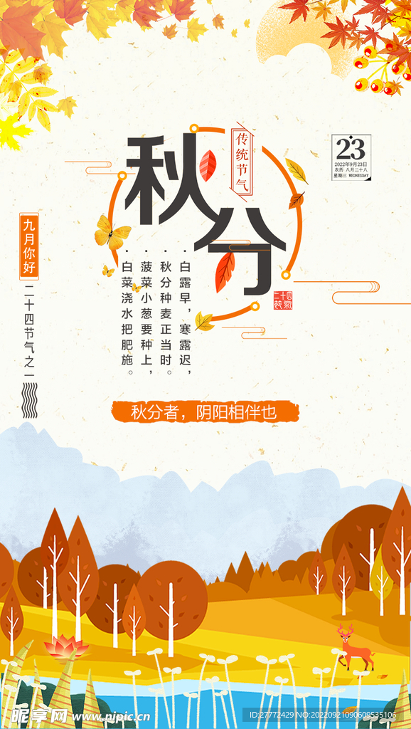秋分节气 海报