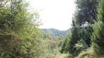 峡谷
