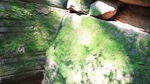 峡谷