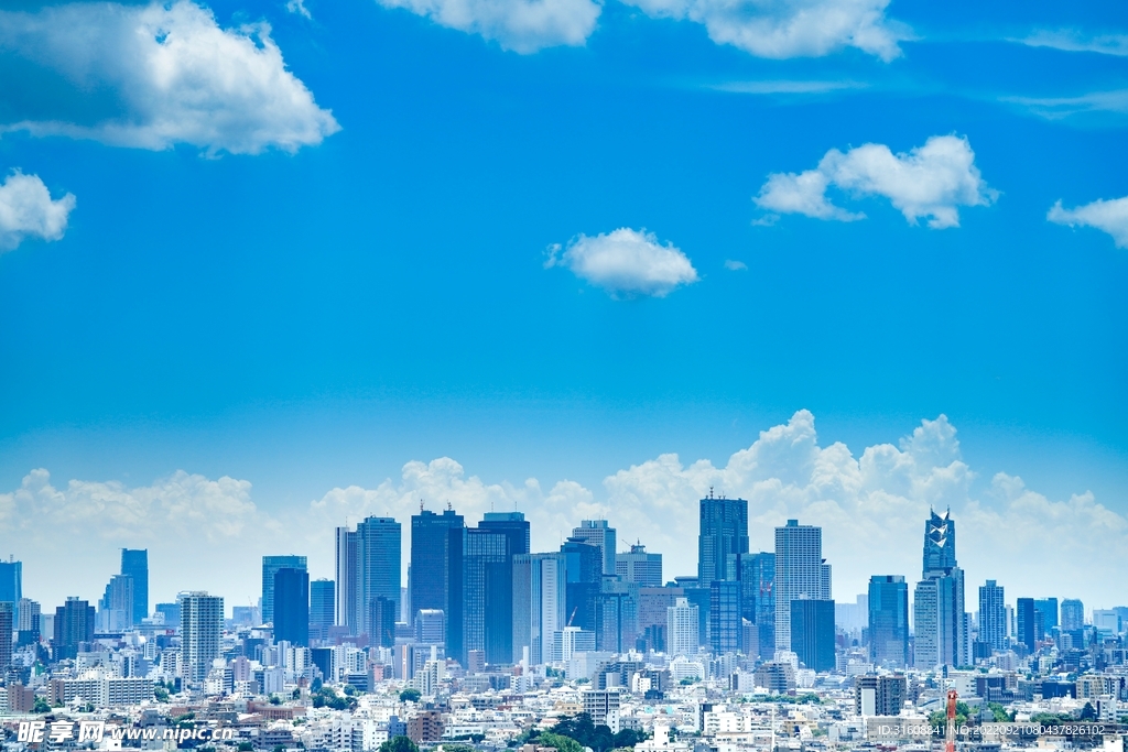 城市