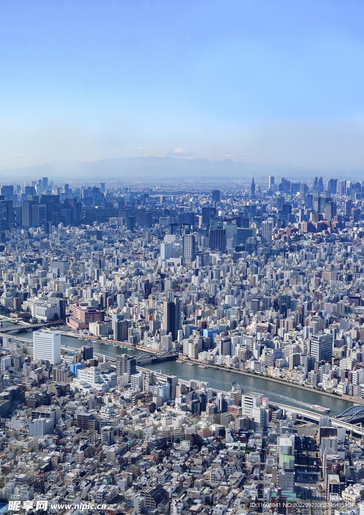 城市 