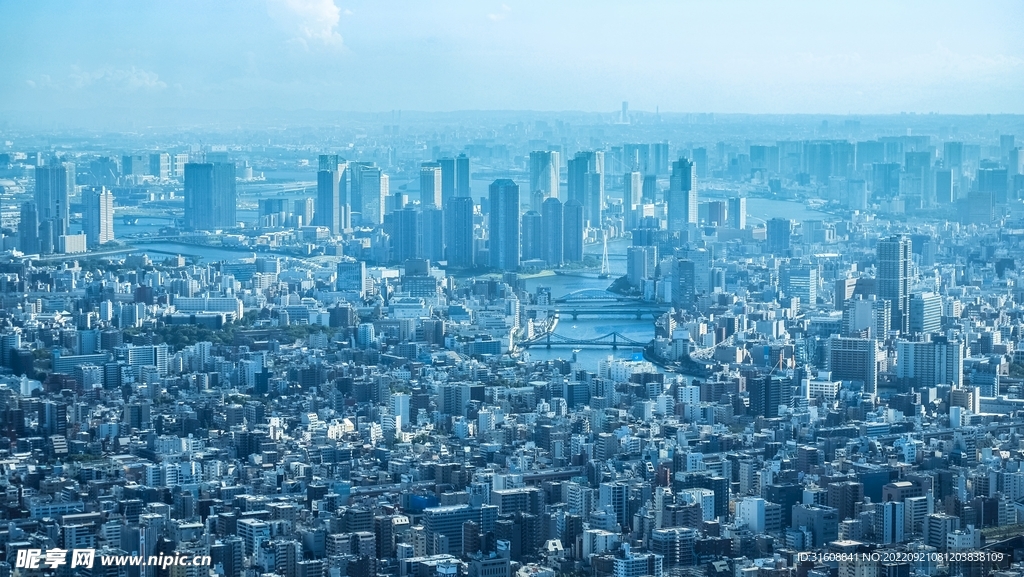 城市 