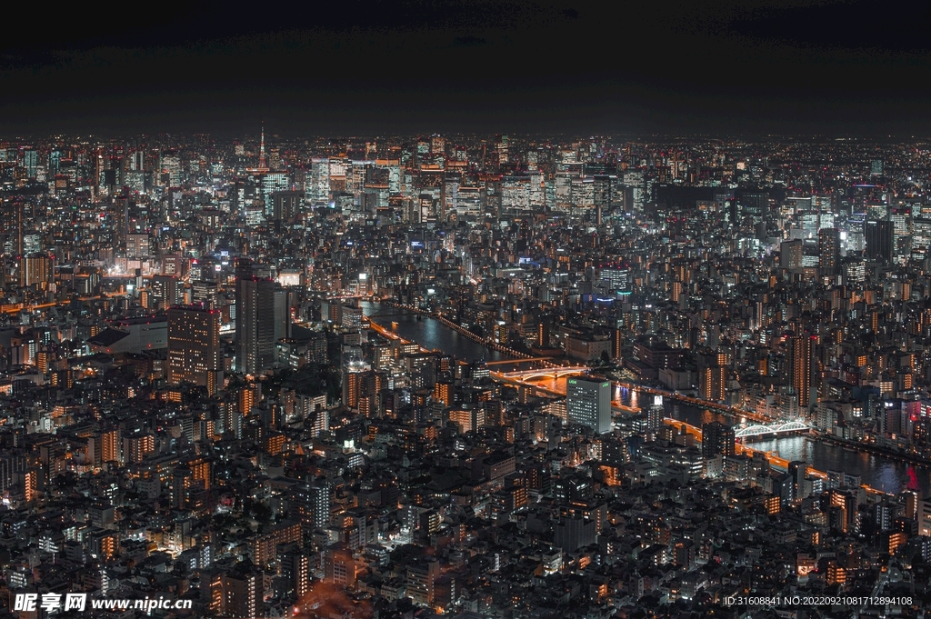 城市 