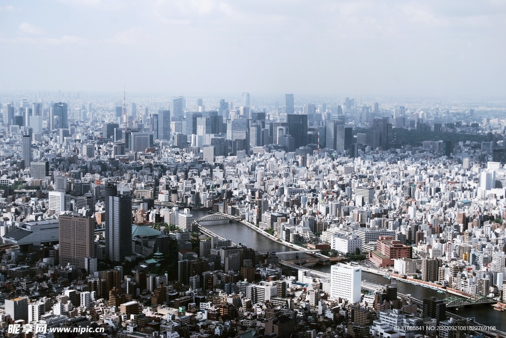 城市 