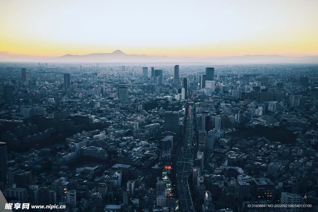 城市 
