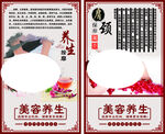 养生
