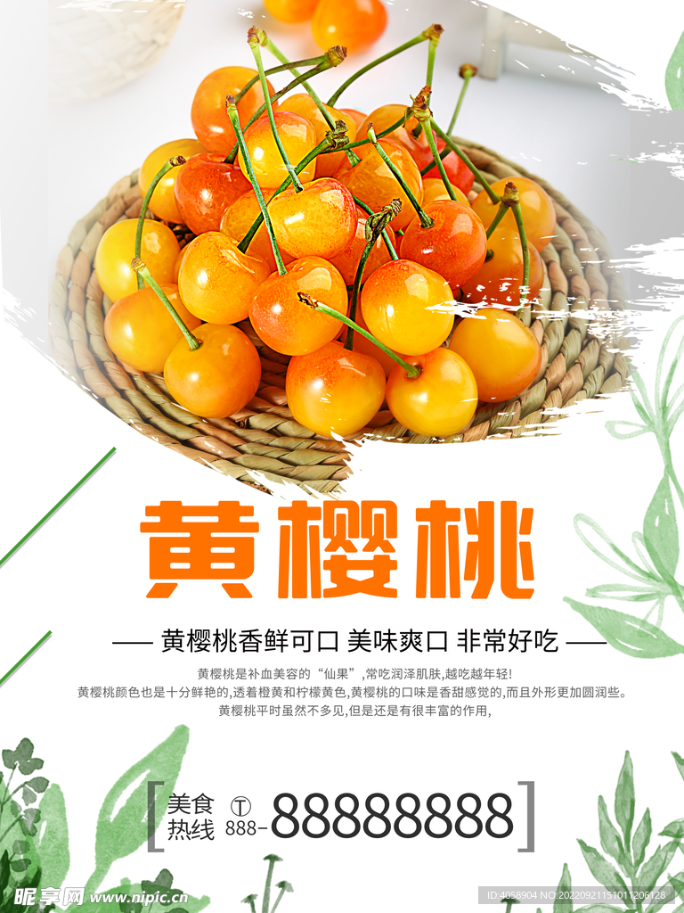 黄樱桃