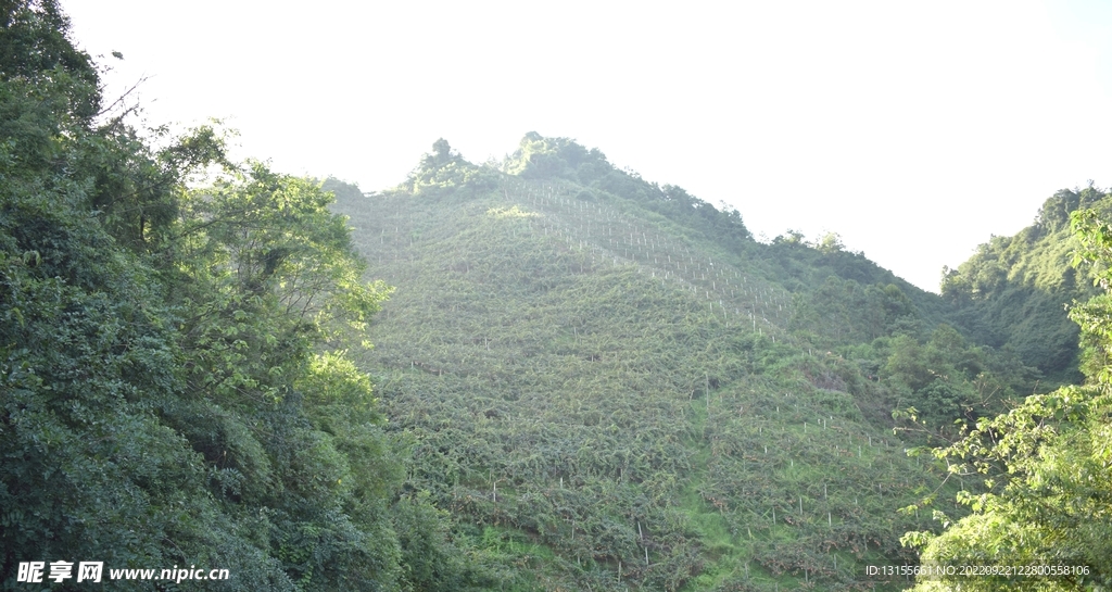 风景