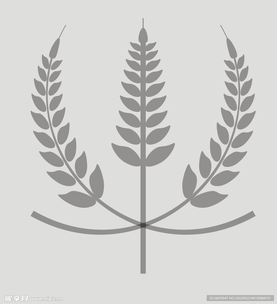 麦穗矢量