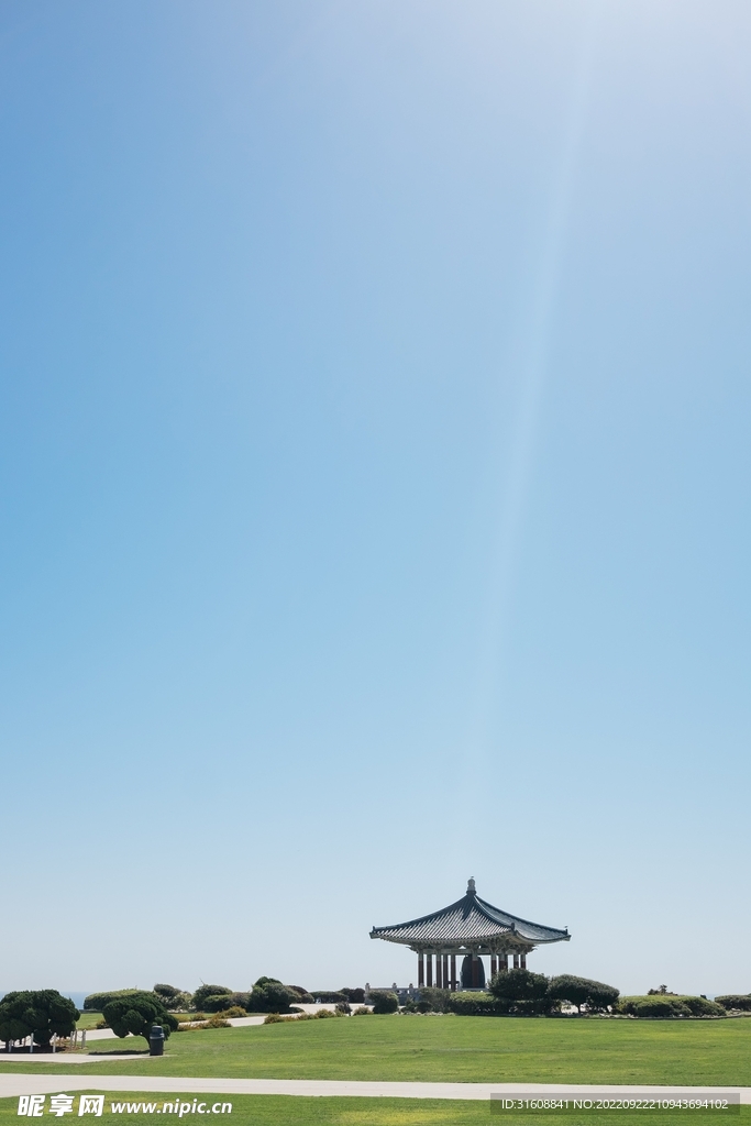 绿荫草地