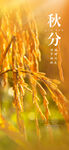 秋分海报
