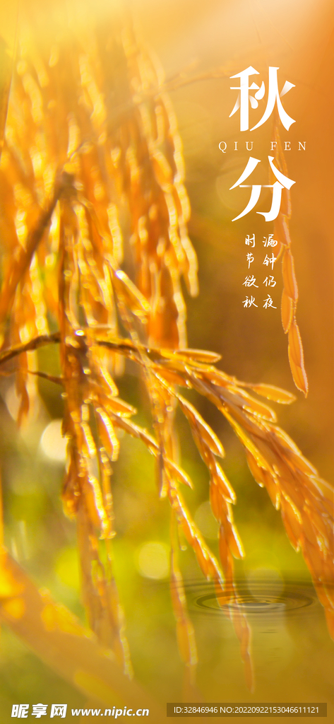 秋分海报