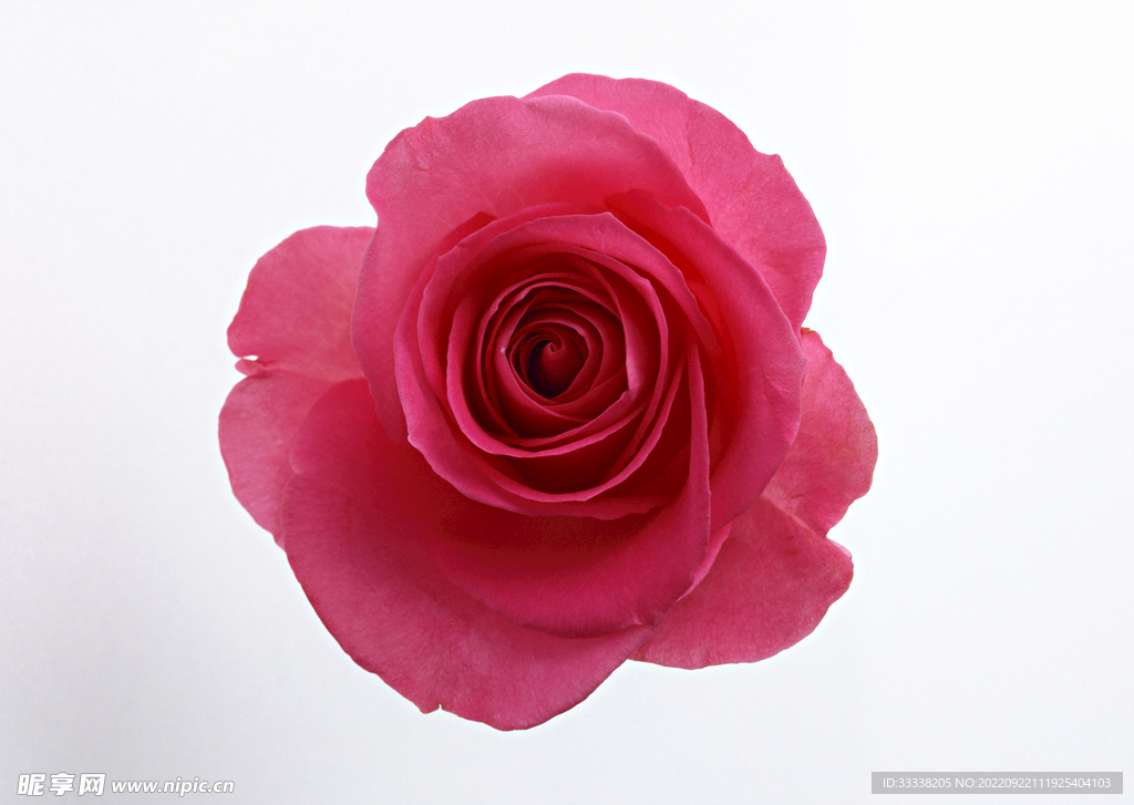 花卉