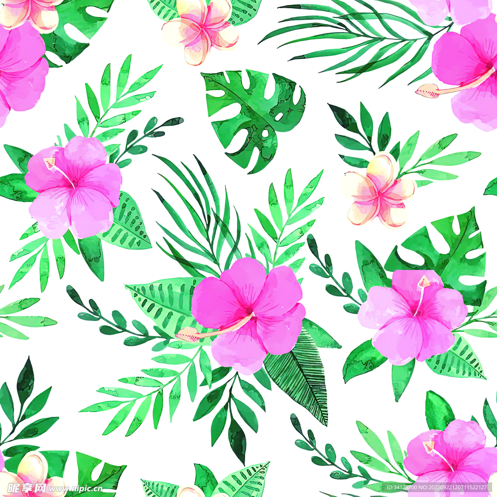 热带花
