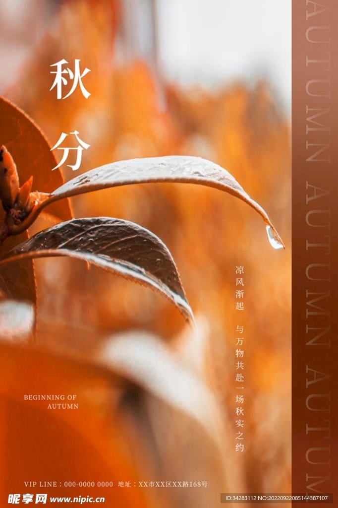 秋分