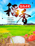 大米海报  有机五常 稻花香 