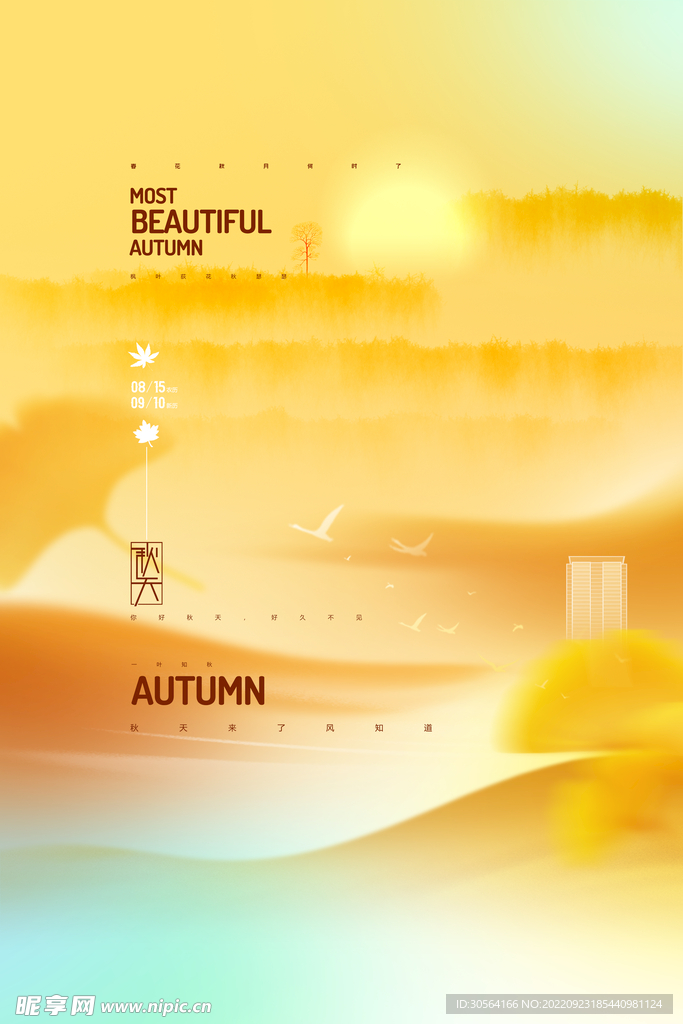 秋分