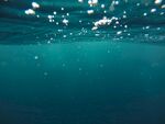 海洋