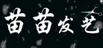 苗苗发艺