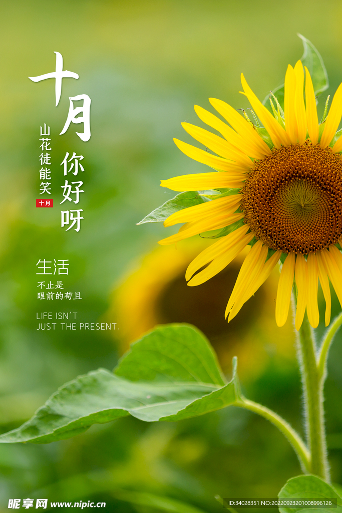 十月你好