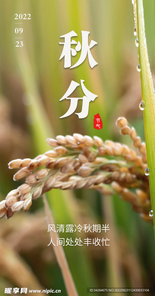 2022秋分海报