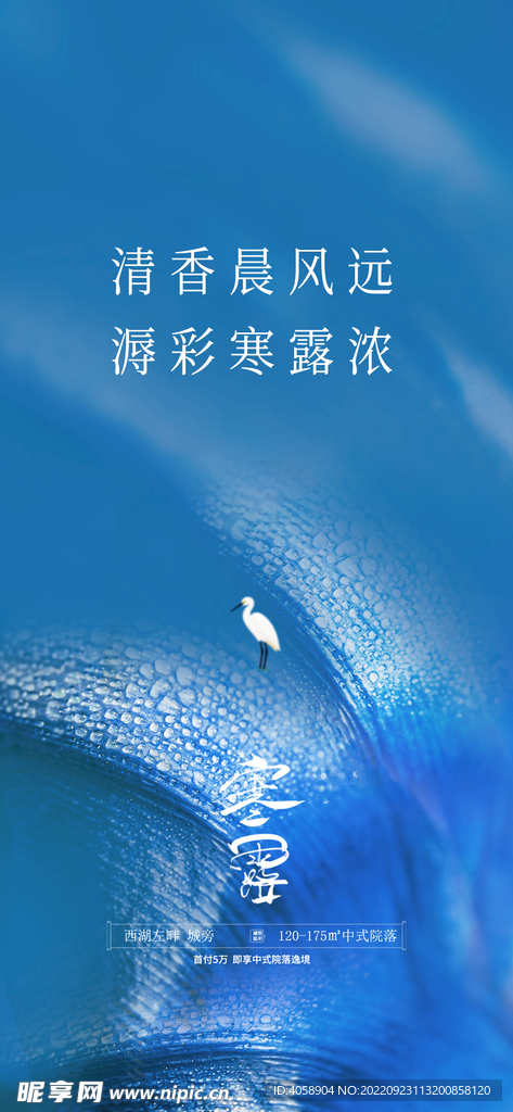 寒露