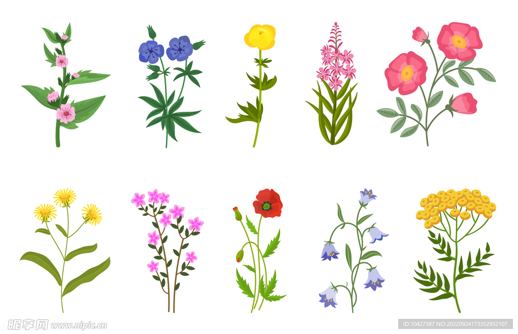 卡通花