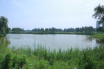 公园