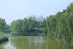 公园