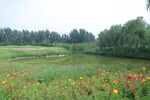 公园