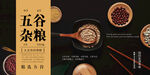 五谷杂粮  杂粮海报素材 粮食