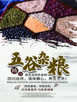 五谷杂粮  杂粮海报素材 粮食