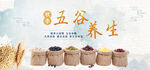 五谷杂粮  杂粮海报素材 粮食