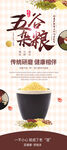 五谷杂粮  杂粮海报素材 粮食