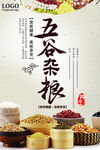 五谷杂粮  杂粮海报素材 粮食