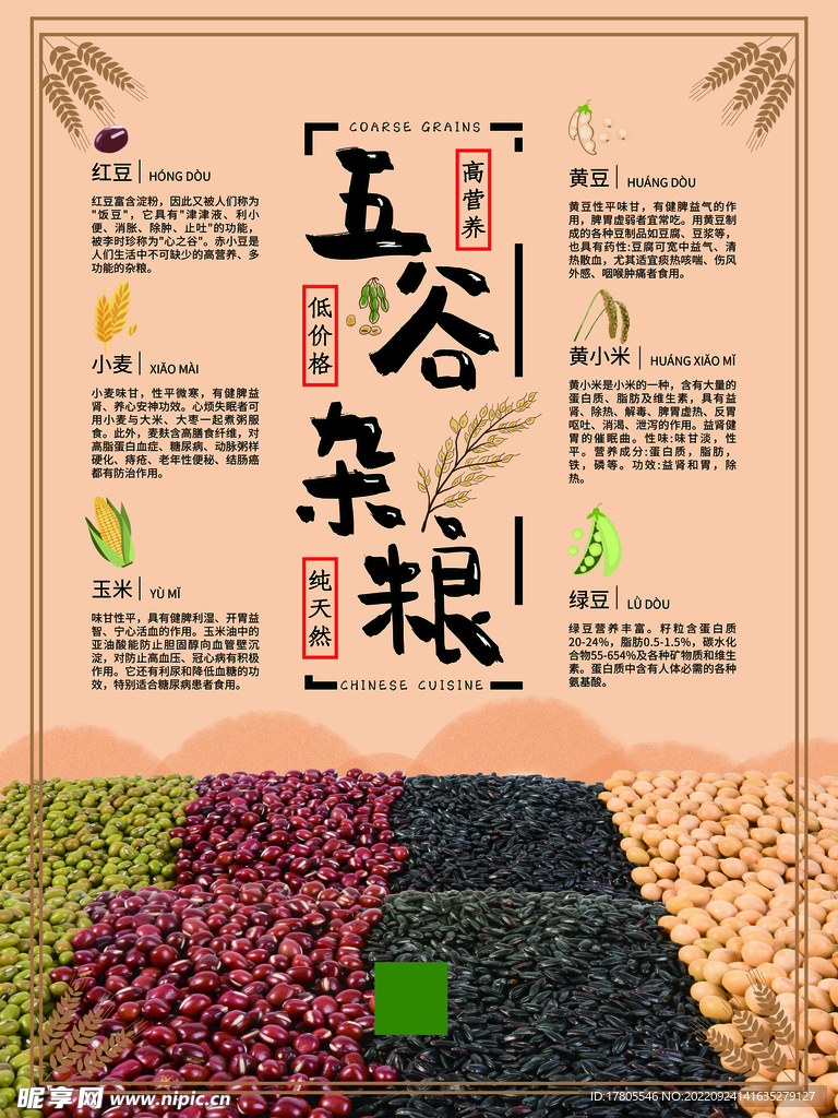 五谷杂粮  杂粮海报素材 粮食