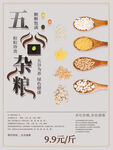 五谷杂粮  杂粮海报素材 粮食
