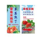 草莓海报